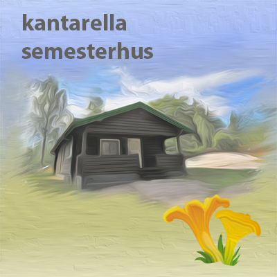 Semesterhus i Sverige - Log0